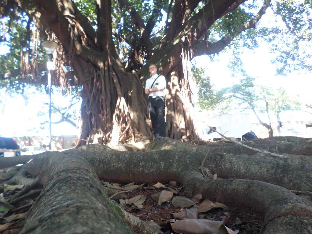 SAMSUNG CAMERA PICTURES